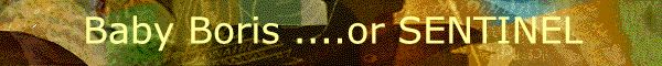 Sentinel