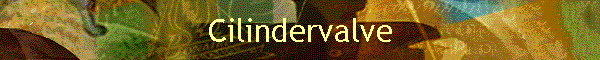 Cilindervalve