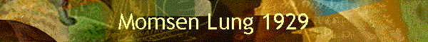 Momsen Lung 1929