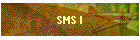 SMS I