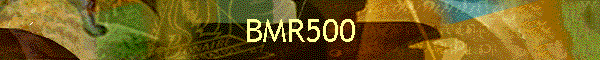 BMR500