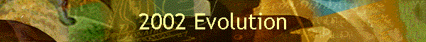 2002 Evolution