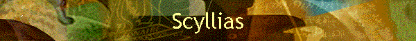 Scyllias