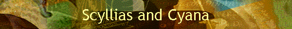 Scyllias and Cyana