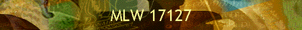 MLW 17127