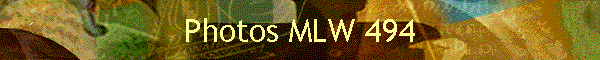Photos MLW 494