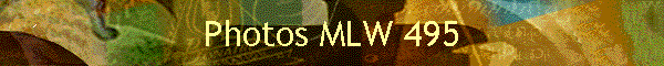 Photos MLW 495