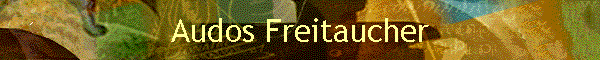 Audos Freitaucher