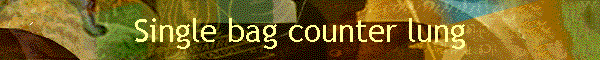 Single bag counter lung