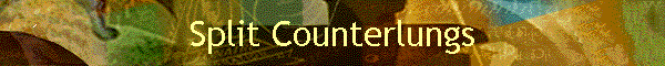 Split Counterlungs