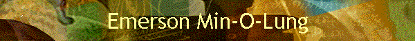 Emerson Min-O-Lung