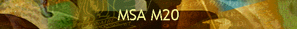 MSA M20