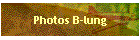 Photos B-lung