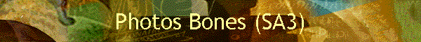 Photos Bones (SA3)