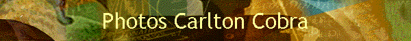 Photos Carlton Cobra